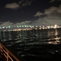 舞洲タチウオ渋い〜