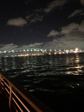 舞洲タチウオ渋い〜