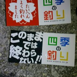 初コウイカと四季の釣り♪