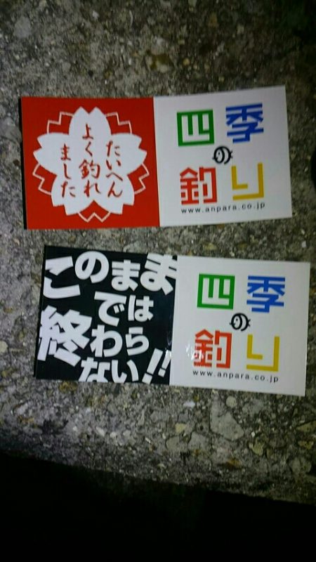 初コウイカと四季の釣り♪