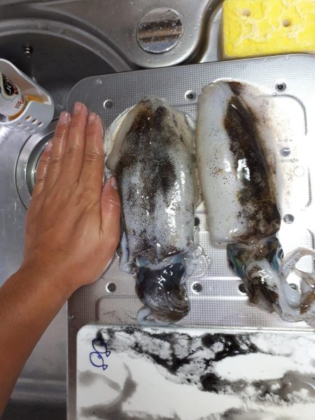 久しぶりエギング