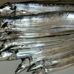 雨の中ドラゴンサイズ連発！！