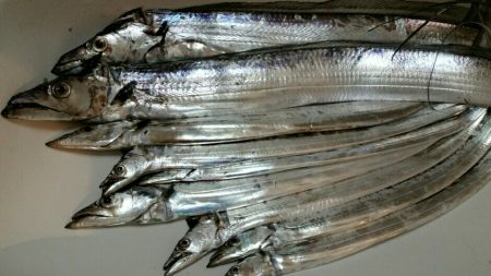 雨の中ドラゴンサイズ連発！！