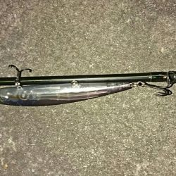 マイワシーバス