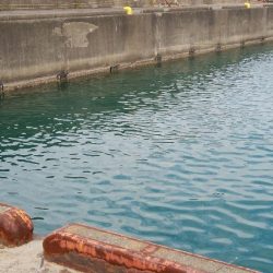 試してみた！(手作りの疑似餌で)