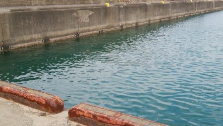 試してみた！(手作りの疑似餌で)