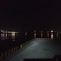 イワシで穴子が釣れました!