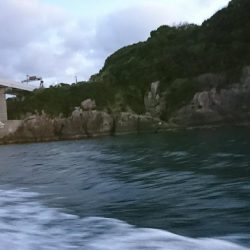 ティップラン釣行