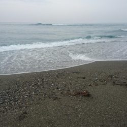 仁淀川 河口サーフ ショアジギング