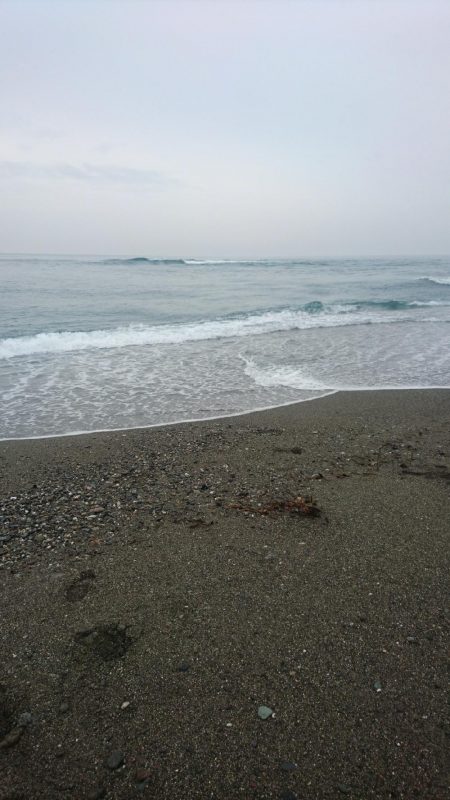 仁淀川 河口サーフ ショアジギング