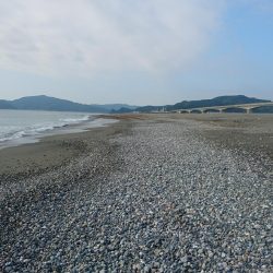 仁淀川河口 ショアジギング ネイリ