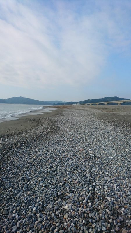 仁淀川河口 ショアジギング ネイリ