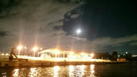 チヌ、キビレ入れ食いでした