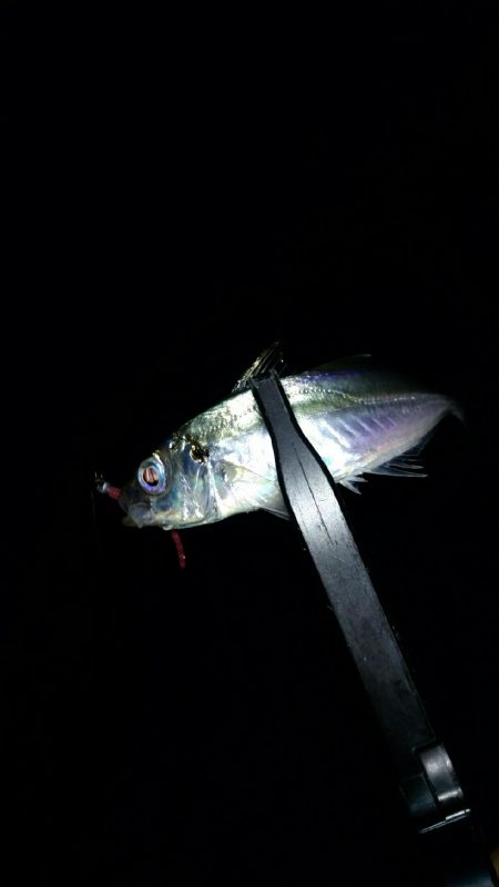 長距離ランガン!!