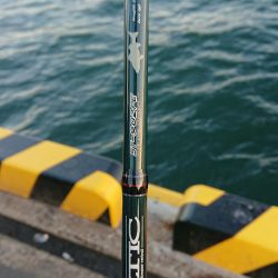 釣り部 釣行記 7