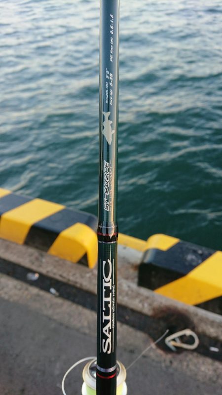 釣り部 釣行記 7