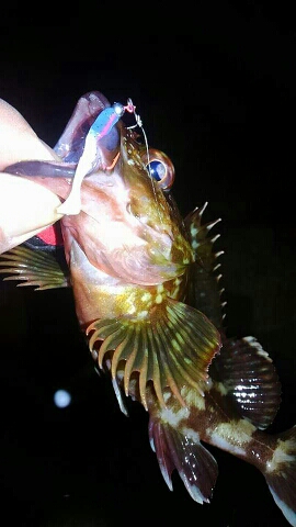 ２日連続25アップ