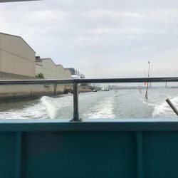 タチウオワインド