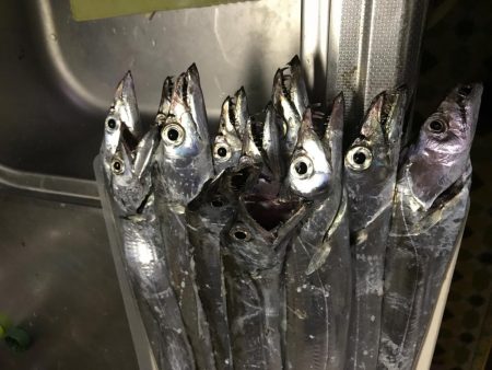 久しぶりの爆釣