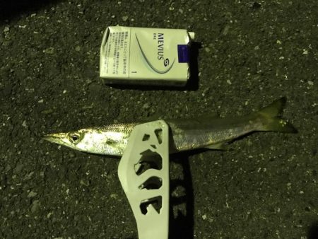 アジング成功！