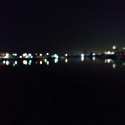 ベイトは多いけど、、