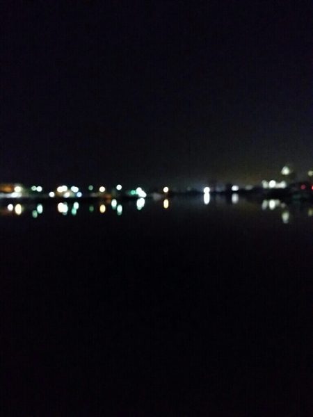 ベイトは多いけど、、