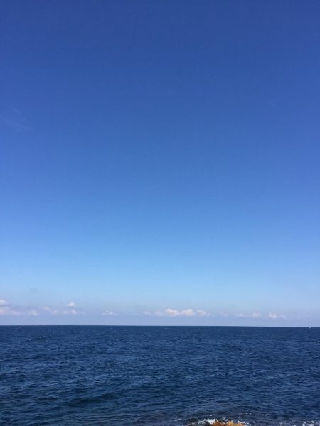 青物狙いのはずが・・・