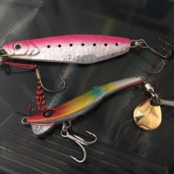 さんダージグでサゴシ