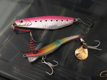 さんダージグでサゴシ