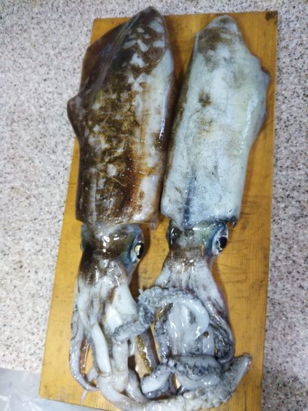 今期初のキロアップ