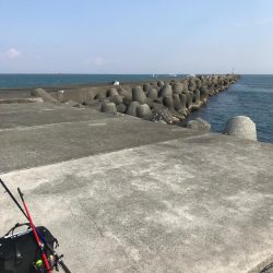 津田沖一文字でアジ、チヌ