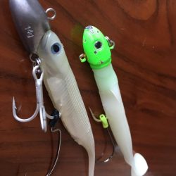 大阪奥湾ワインド ただ巻きパターン