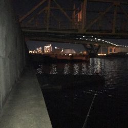 やっとシーバス❗️