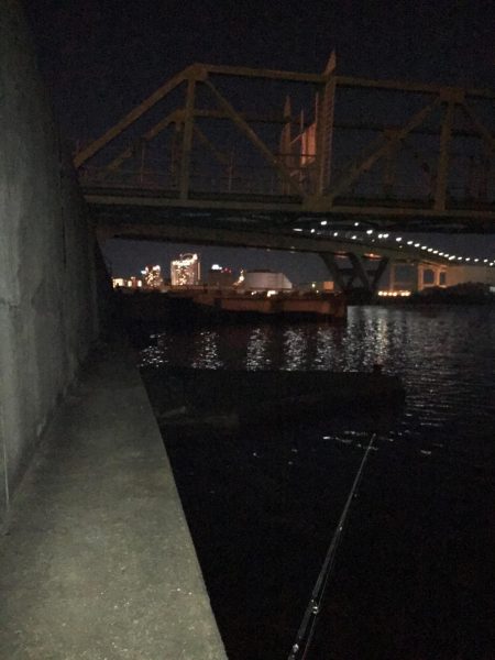 やっとシーバス❗️