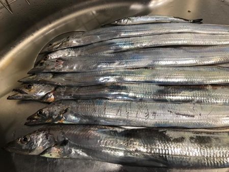 シーバス〜タチウオワインド〜LSJ