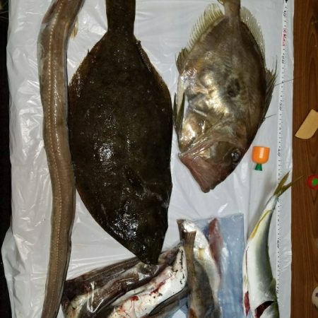 福島、泳がせ釣行