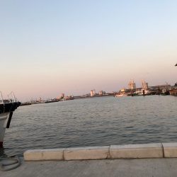 どんだけー釣れる！