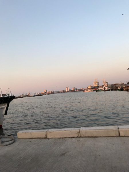 どんだけー釣れる！