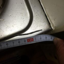 ドラゴン出ました