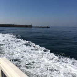 2ヒット2キャッチ 今一な釣行