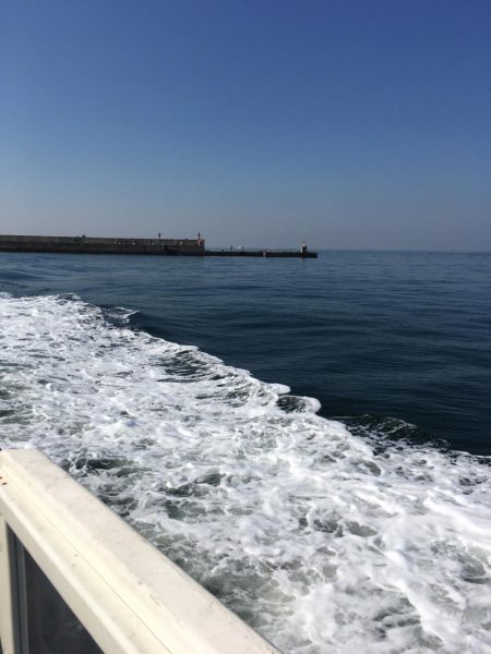 2ヒット2キャッチ 今一な釣行