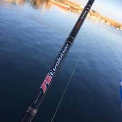 シーバスを求めて…