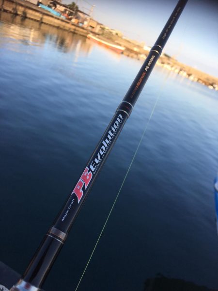 シーバスを求めて…