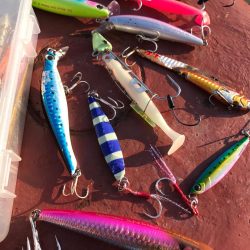 人生初フィッーシュ!おめ♫