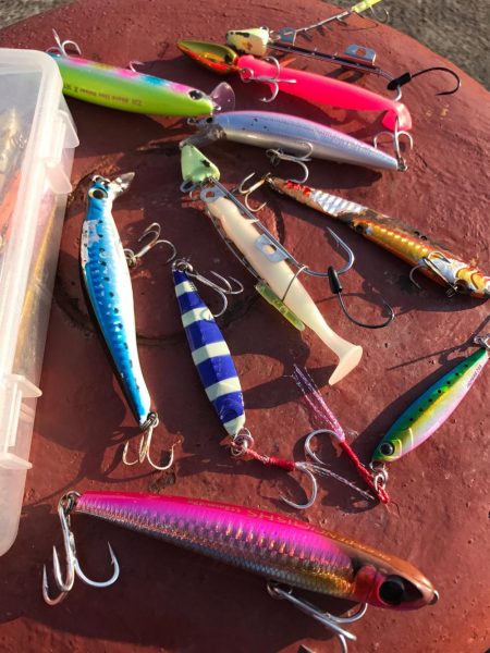 人生初フィッーシュ!おめ♫