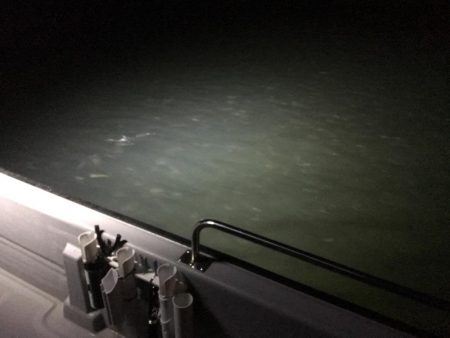 ボートシーバス初挑戦！