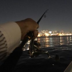 シーバス＆カマス