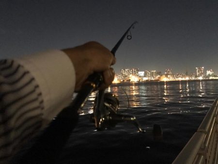 シーバス＆カマス