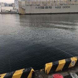 タチウオ釣りリベンジ