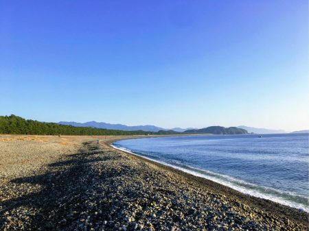 大里松原海岸 イカ2 スマガツオ2